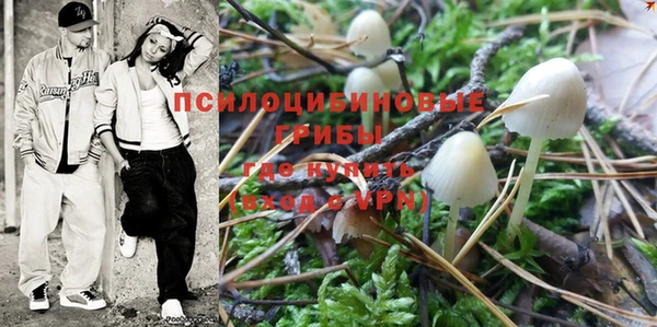 крисы Балахна