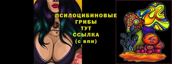 крисы Балахна